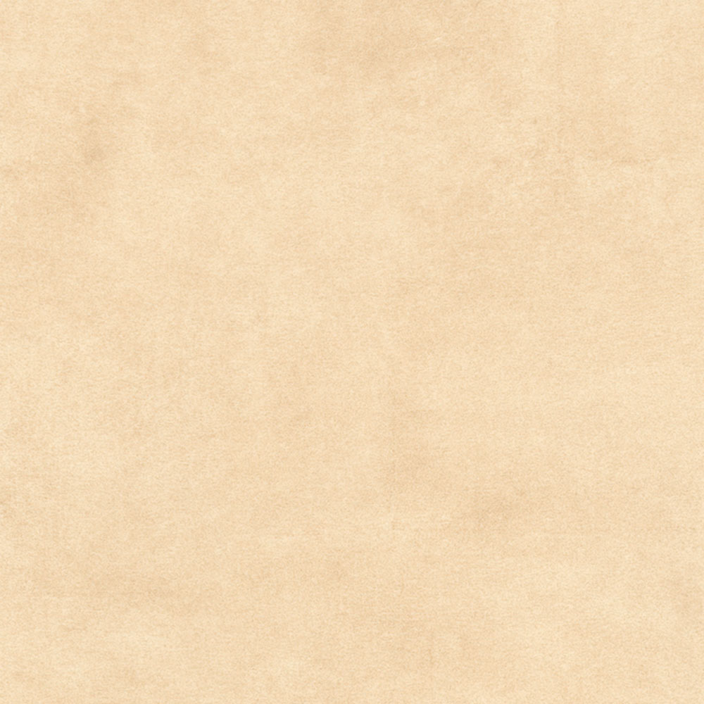 P246 - TERRA LATTE
